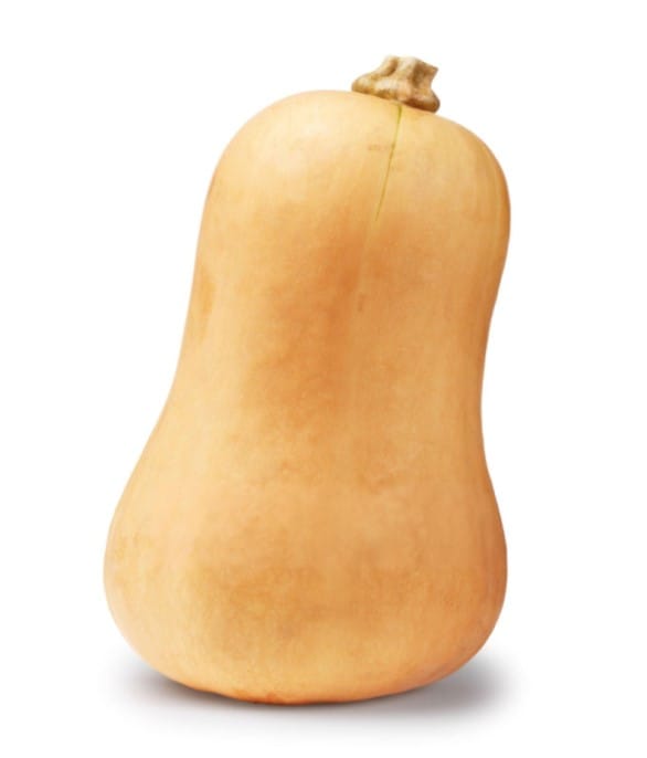 butternut