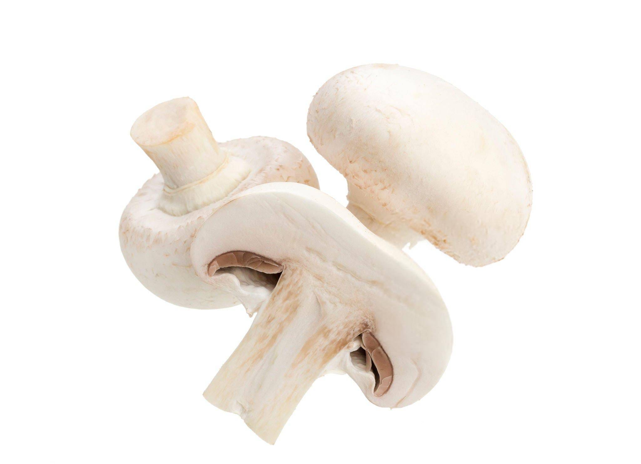 champignons