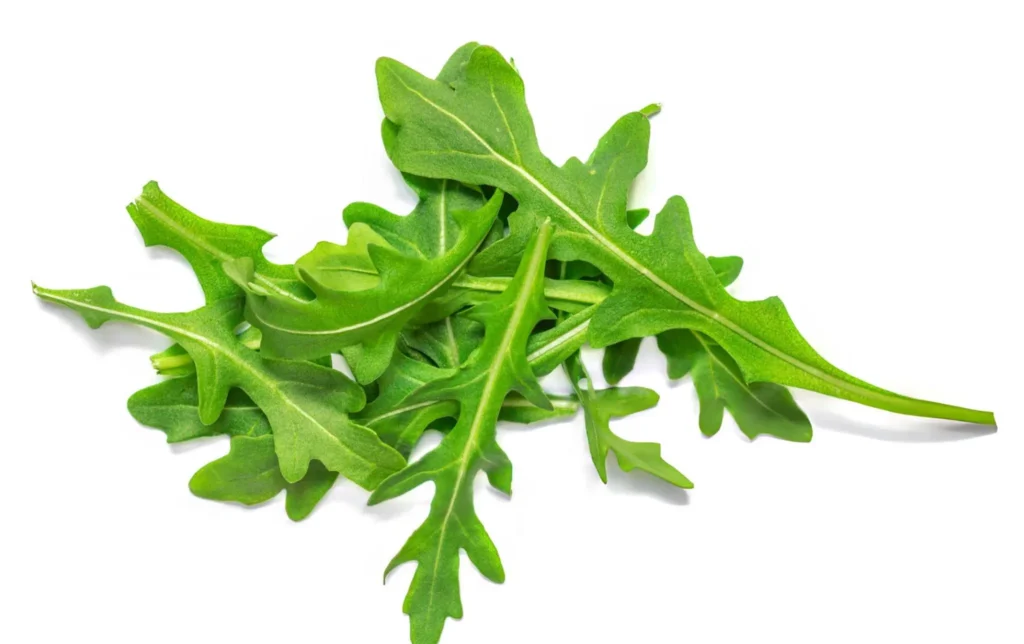 100g de roquette fraîche